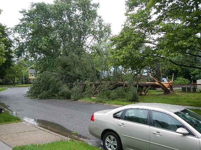 Large Tree Pulls Down Power Lines - Willingboro Fire Department